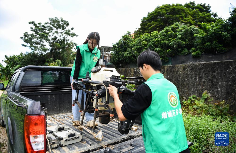 打牌网下载安卓